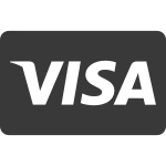 Visa (2) SVG Icon